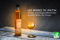 Apéritif aux plantes