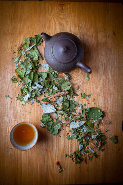 Tisane l'appel de la Forêt